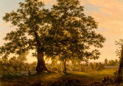 The Charter Oak at Hartford