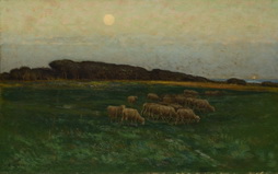 Sheep in Moonlight