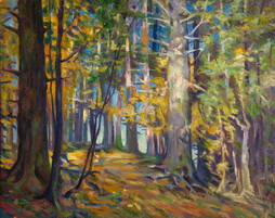 Autumn Forest Scene