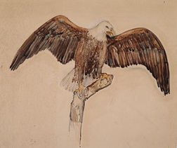 Eagle