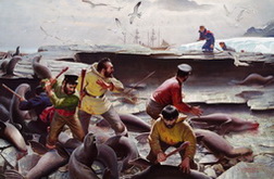 Marines Stop Seal Poachers, 1891