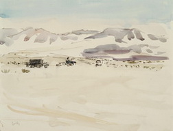 Desert Study