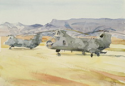 H46 Helicopters of HMM 264