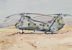 HMM 264s H46 Helicopters, Salopi, Turkey