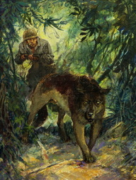 War Dog