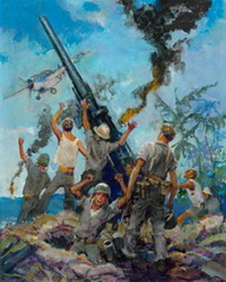 Guadalcanal Plane Rally-Galer