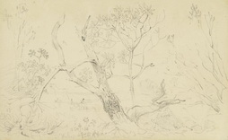 Study of a Landscape with Trees