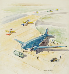 A Douglas Transport Plane