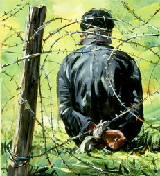 Barbed Wire & Prisioner