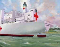 USS Comfort