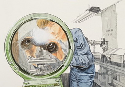 OPTICALMAN