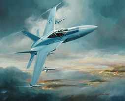F/ A18 Hornet Strike Fighter