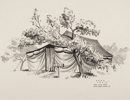 UNDER THE APPLE TREE