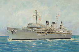 USS YOSEMITE (AD-19)