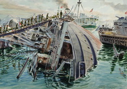 Harbor Wreckage Hospital Ship