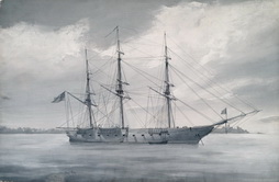 CSS Savannah