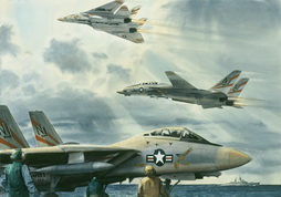 The Navy F-14 Fighter Plane