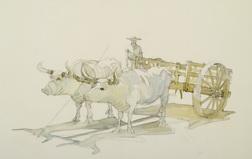A Farmer and his Oxen-Drawn Cart
