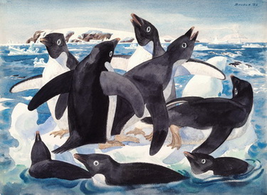 Adelie Penguins North of Franklin Island