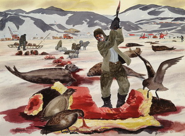 The Antarctica Butcher