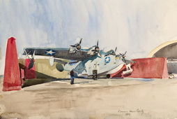 VIEW OF A PB2Y IN A CAMOUGLAGED REVETMENT