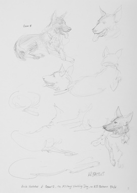 Quick Sketches of Cezar II, The Military Working Dog, on the USS Bataan