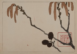 Pinecones, from the Hana Kurabe series