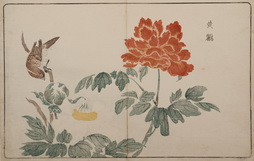 Bird with Peony, from Raikin Dzui