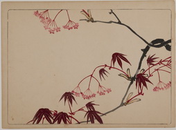 Red-Leaved Plant, from Hana Kurabe