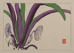 Purple and Green Squid-like Plant, from Hana Kurabe
