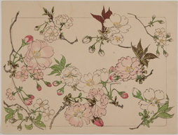 White and Pink Flowers, from Hana Kurabe