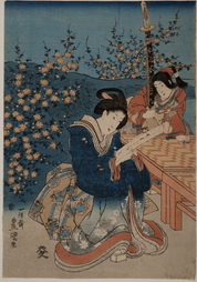 Seated Geisha Reading Amid Peach 