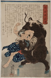 Farmer's Son Wrestling with a Bull