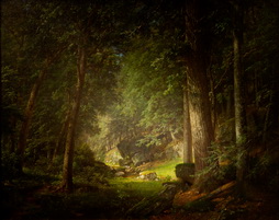 Forest Scene