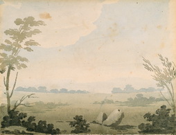 Untitled (Landscape)