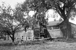 Osborne Farm Barn