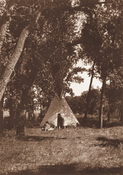Plate 217: Camp in the Cottonwoods-Cheyenne