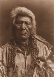 Plate 229: A Flathead Chief