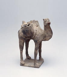 Standing Bactrian Camel