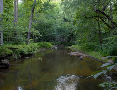 Prince William Forest (1582)