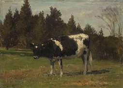 Black Heifer