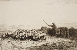 Herd of Swine