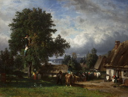 Apple Harvest in Normandy