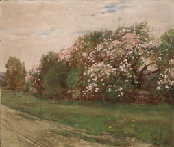 Trees in Bloom