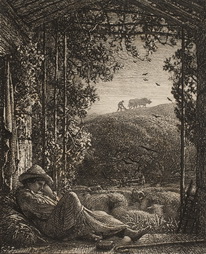 The Sleeping Shepherd- Early Morning