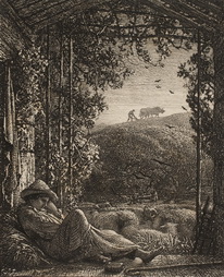 The Sleeping Shepherd- Early Morning