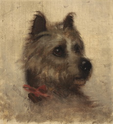 Head of a Dog