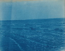 Untitled (beach scene with dog in surf)