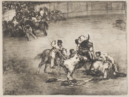 Picador Gored by a Bull
