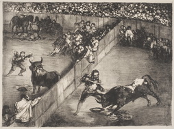 Bullfight in a Divided Ring